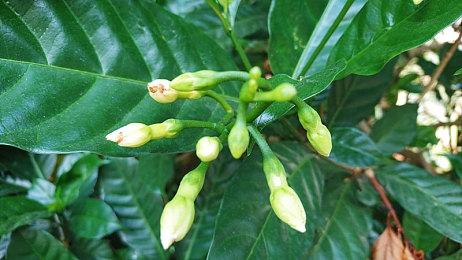 《第一后裔》微交易让玩家不满：连皮肤颜色都要付费